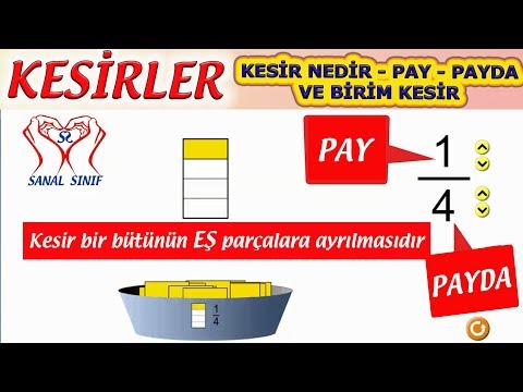 Birim Kesirde Paydanın 1 Olmasının Kanıtlanmış 2026 Püf Noktaları - Kapak Görseli